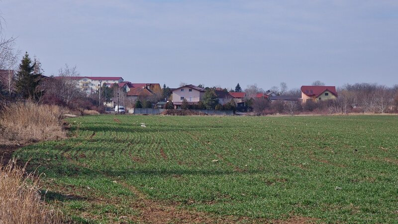 Ilfov loturi de teren in Balotesti- Saftica  langa case si utilitati